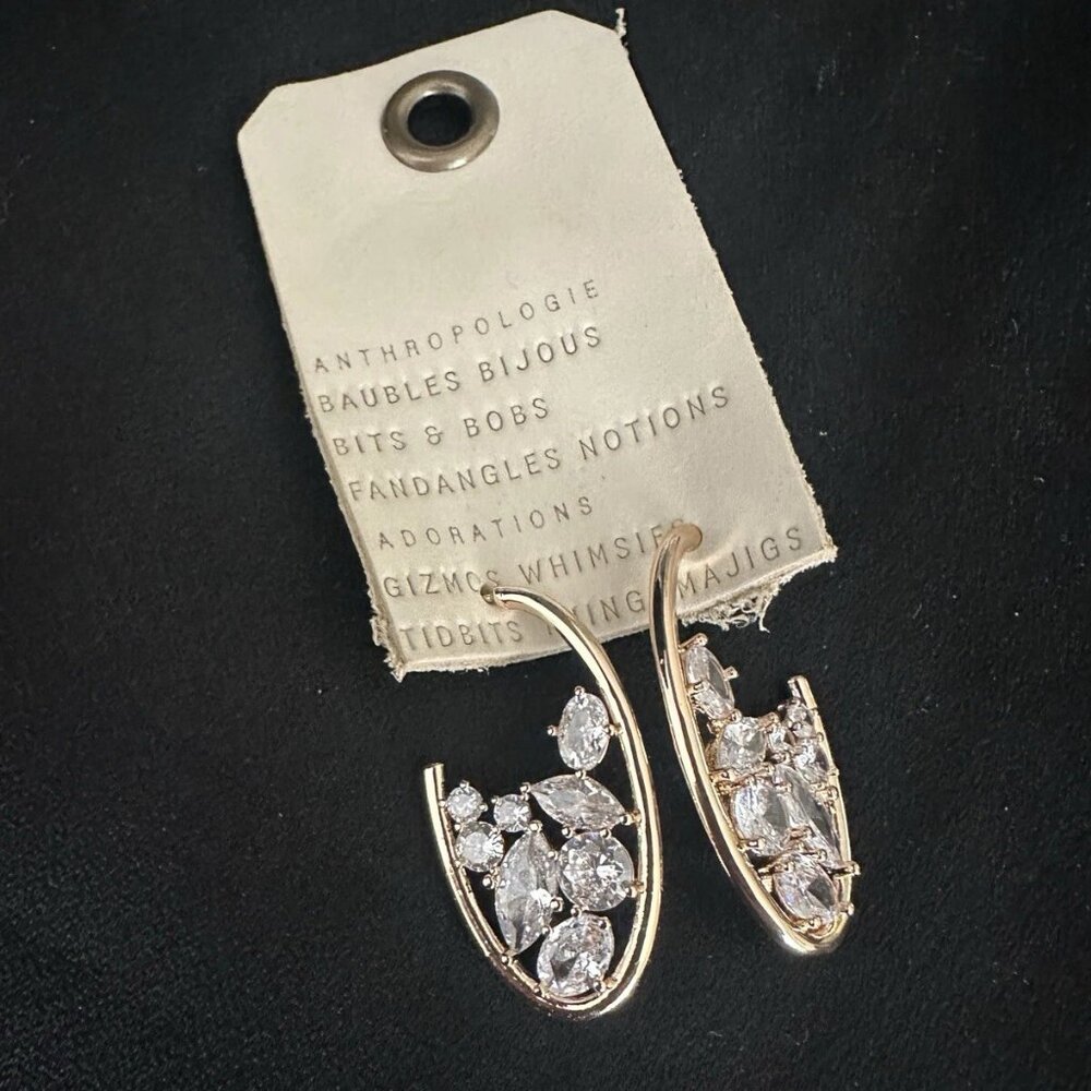 Anthropologie Inner Crystal Hoop Earrings NWT